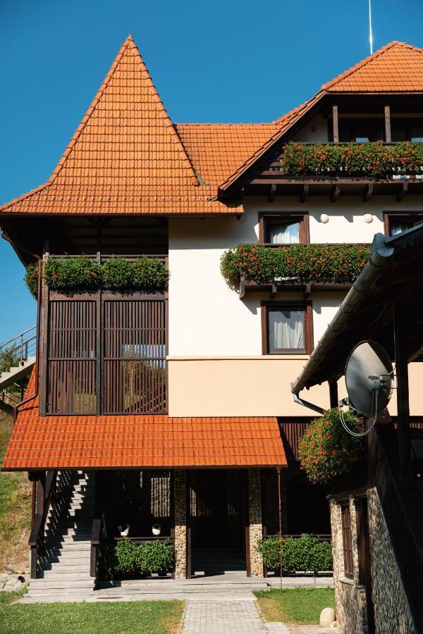 Villa Gherman Sălciua de Jos Buitenkant foto
