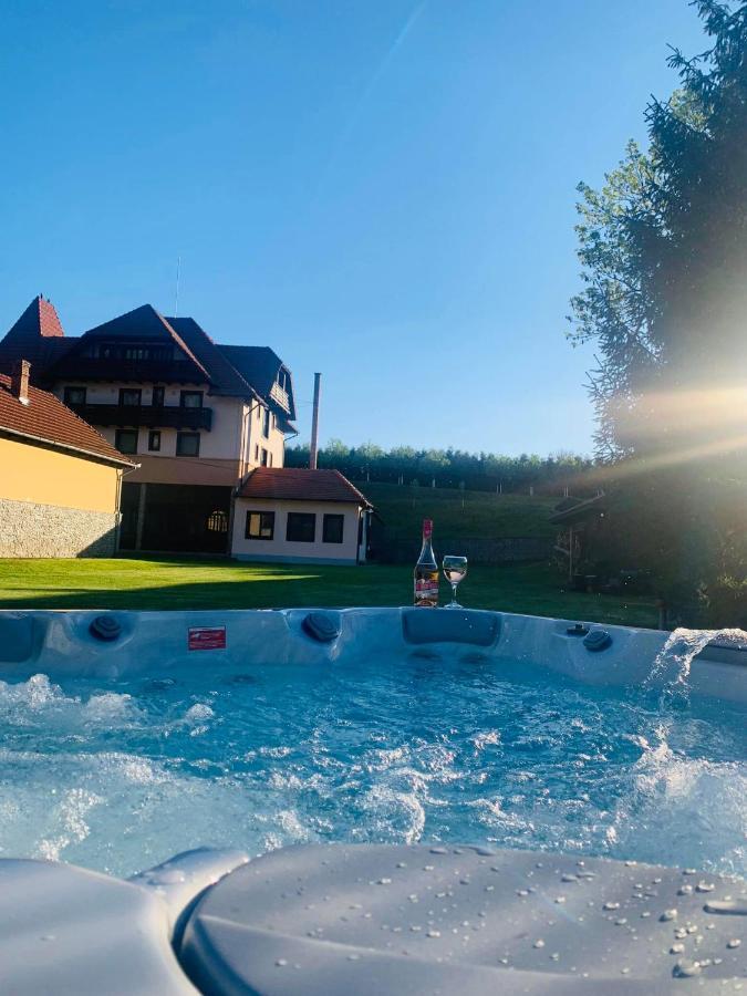 Villa Gherman Sălciua de Jos Buitenkant foto